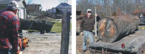 The Winter That Isn’t: Spring Ramblings of a Missouri Homesteader Image